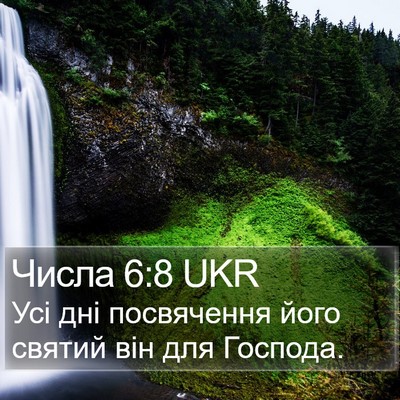 Числа 6:8 UKR Bible Verse Image
