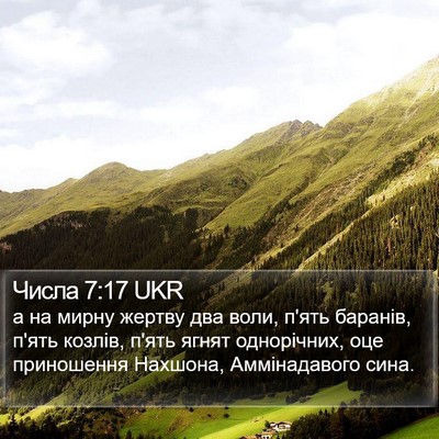 Числа 7:17 UKR Bible Verse Image