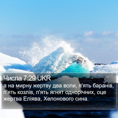 Числа 7:29 UKR Bible Verse Image