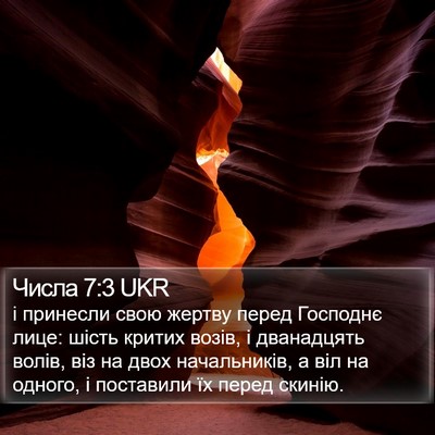 Числа 7:3 UKR Bible Verse Image