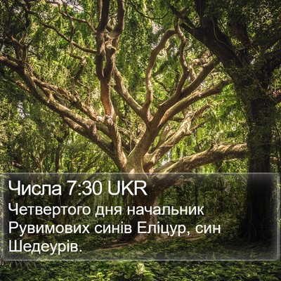 Числа 7:30 UKR Bible Verse Image