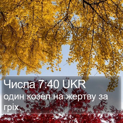 Числа 7:40 UKR Bible Verse Image