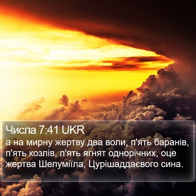 Числа 7:41 UKR Bible Verse Image