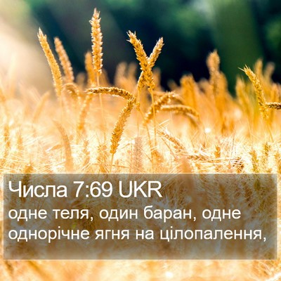 Числа 7:69 UKR Bible Verse Image