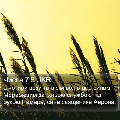 Числа 7:8 UKR Bible Verse Image