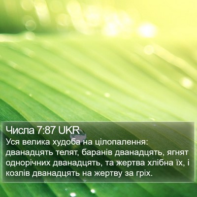Числа 7:87 UKR Bible Verse Image