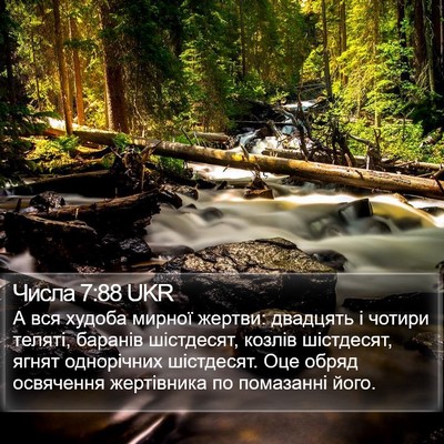 Числа 7:88 UKR Bible Verse Image