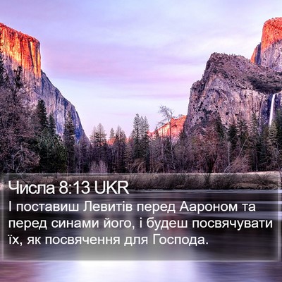 Числа 8:13 UKR Bible Verse Image