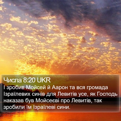 Числа 8:20 UKR Bible Verse Image