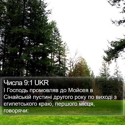 Числа 9:1 UKR Bible Verse Image