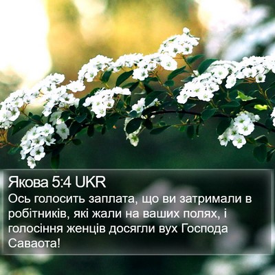 Якова 5:4 UKR Bible Verse Image