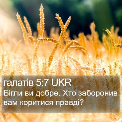 галатів 5:7 UKR Bible Verse Image