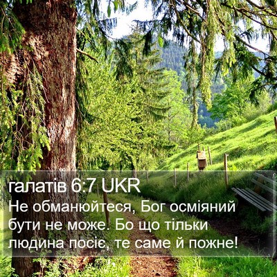 галатів 6:7 UKR Bible Verse Image