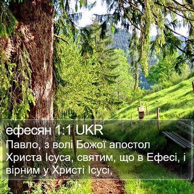 ефесян 1:1 UKR Bible Verse Image