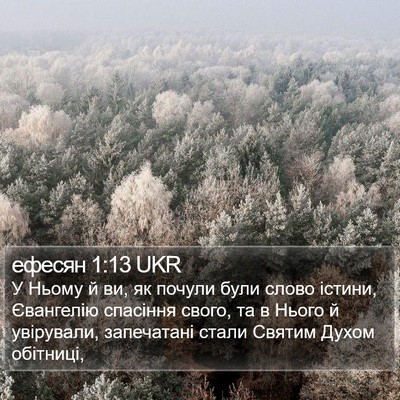 ефесян 1:13 UKR Bible Verse Image