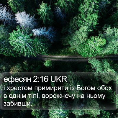 ефесян 2:16 UKR Bible Verse Image