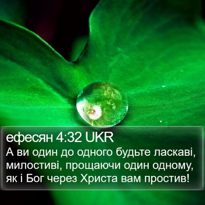 ефесян 4:32 UKR Bible Verse Image
