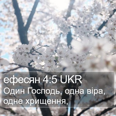 ефесян 4:5 UKR Bible Verse Image