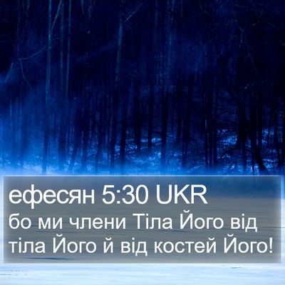 ефесян 5:30 UKR Bible Verse Image