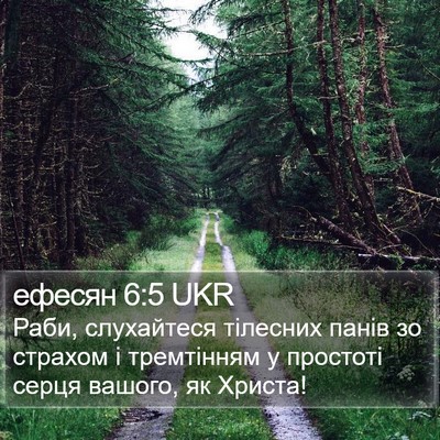 ефесян 6:5 UKR Bible Verse Image