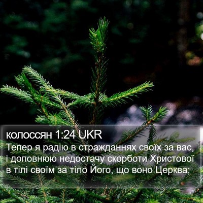 колоссян 1:24 UKR Bible Verse Image