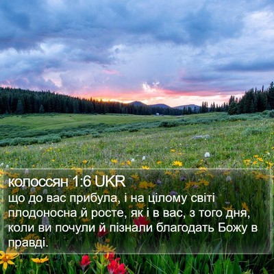 колоссян 1:6 UKR Bible Verse Image