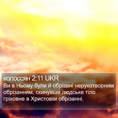 колоссян 2:11 UKR Bible Verse Image