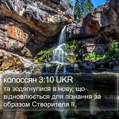 колоссян 3:10 UKR Bible Verse Image