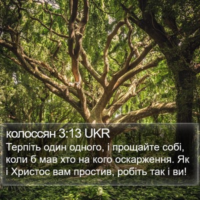 колоссян 3:13 UKR Bible Verse Image
