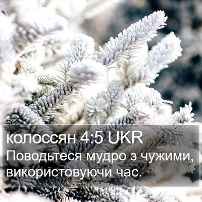 колоссян 4:5 UKR Bible Verse Image