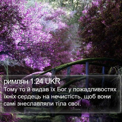 римлян 1:24 UKR Bible Verse Image