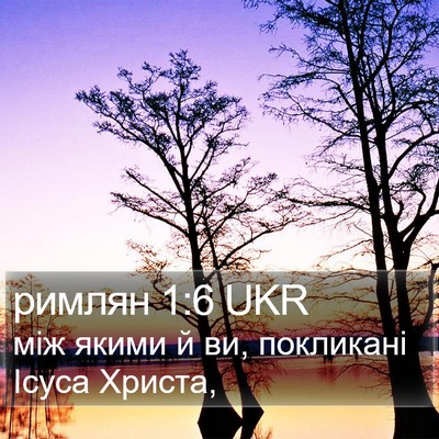 римлян 1:6 UKR Bible Verse Image