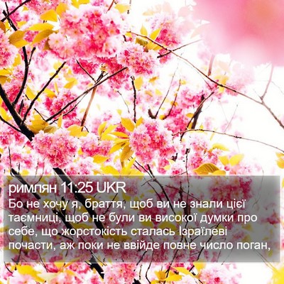 римлян 11:25 UKR Bible Verse Image