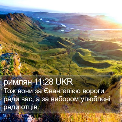 римлян 11:28 UKR Bible Verse Image