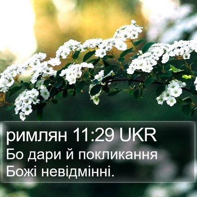 римлян 11:29 UKR Bible Verse Image