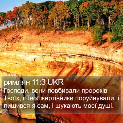 римлян 11:3 UKR Bible Verse Image