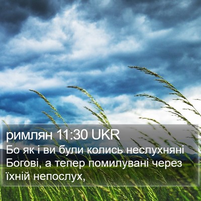 римлян 11:30 UKR Bible Verse Image
