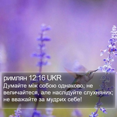 римлян 12:16 UKR Bible Verse Image