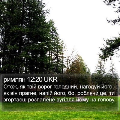 римлян 12:20 UKR Bible Verse Image