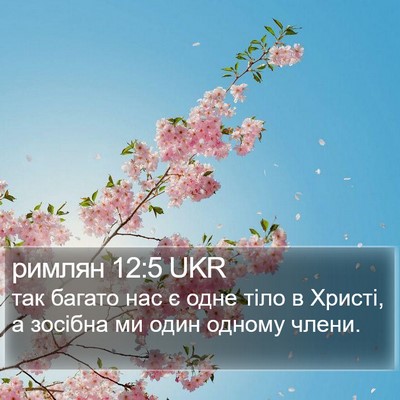римлян 12:5 UKR Bible Verse Image