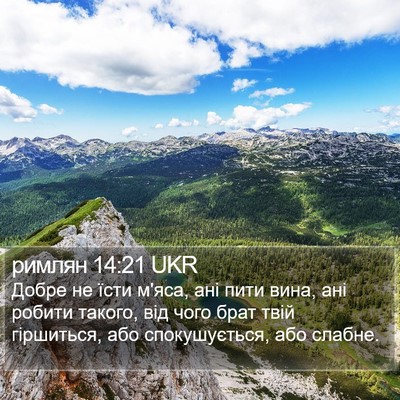 римлян 14:21 UKR Bible Verse Image