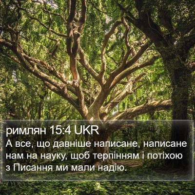 римлян 15:4 UKR Bible Verse Image