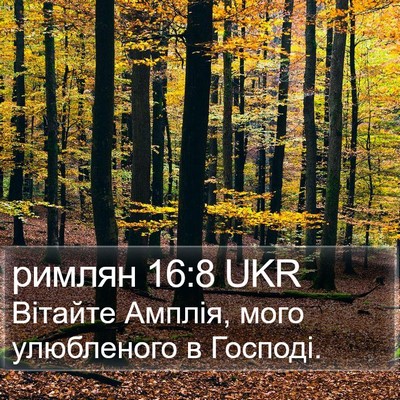 римлян 16:8 UKR Bible Verse Image