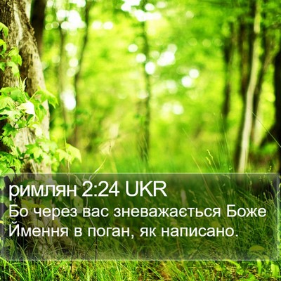 римлян 2:24 UKR Bible Verse Image