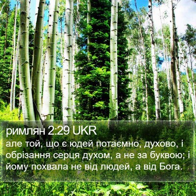 римлян 2:29 UKR Bible Verse Image