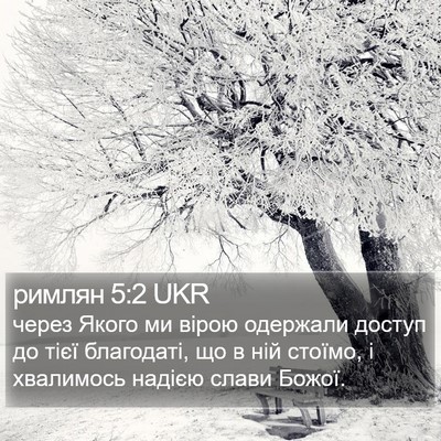 римлян 5:2 UKR Bible Verse Image