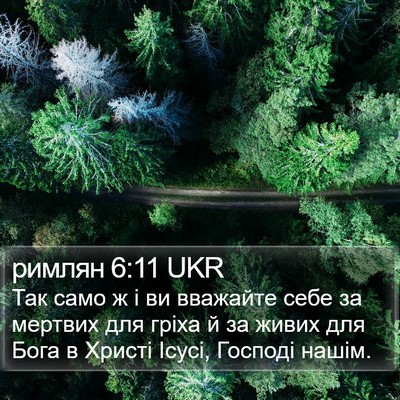 римлян 6:11 UKR Bible Verse Image