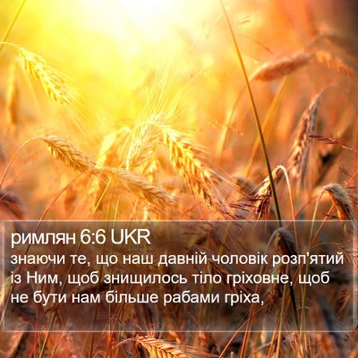 римлян 6:6 UKR Bible Verse Image