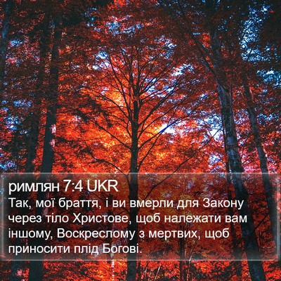 римлян 7:4 UKR Bible Verse Image