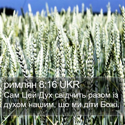 римлян 8:16 UKR Bible Verse Image